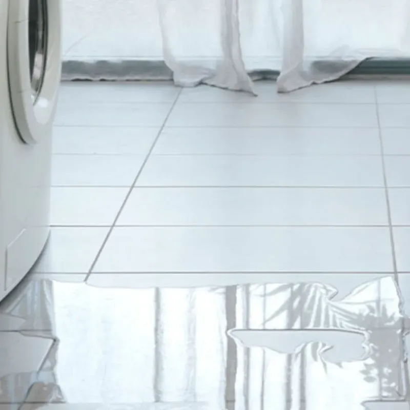 Appliance Leak Cleanup in Chinchilla, PA
