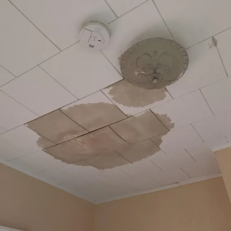 Ceiling Water Damage Repair in Chinchilla, PA