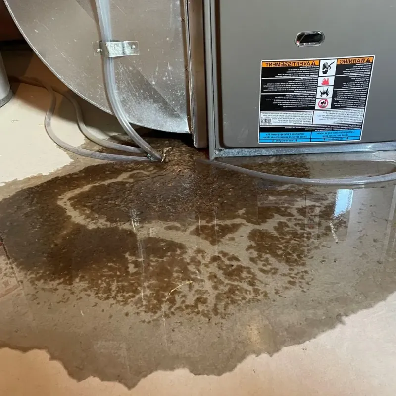 Pipe Burst and Leak Restoration in Chinchilla, PA