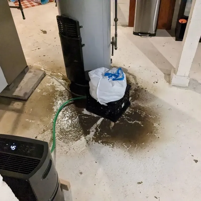 Sewage Backup Cleanup Service in Chinchilla, PA